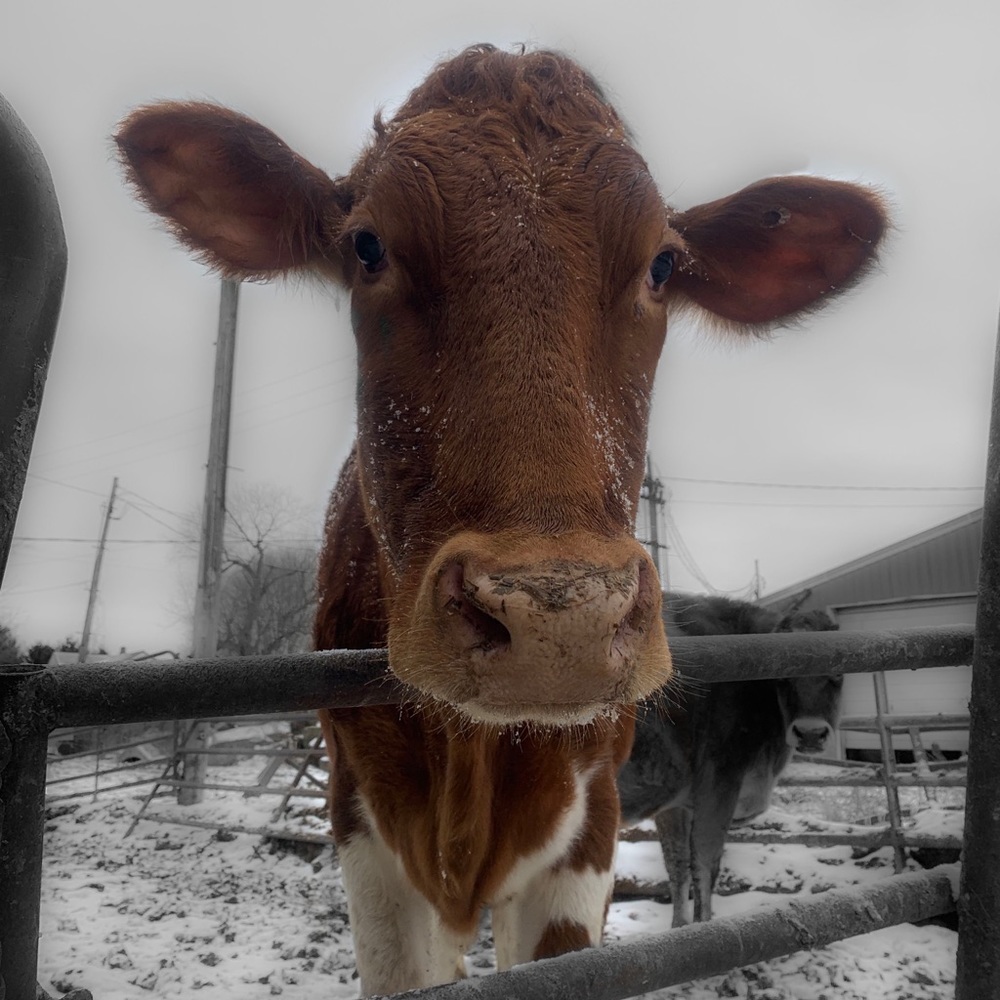 Meet your Posher, Lynndee